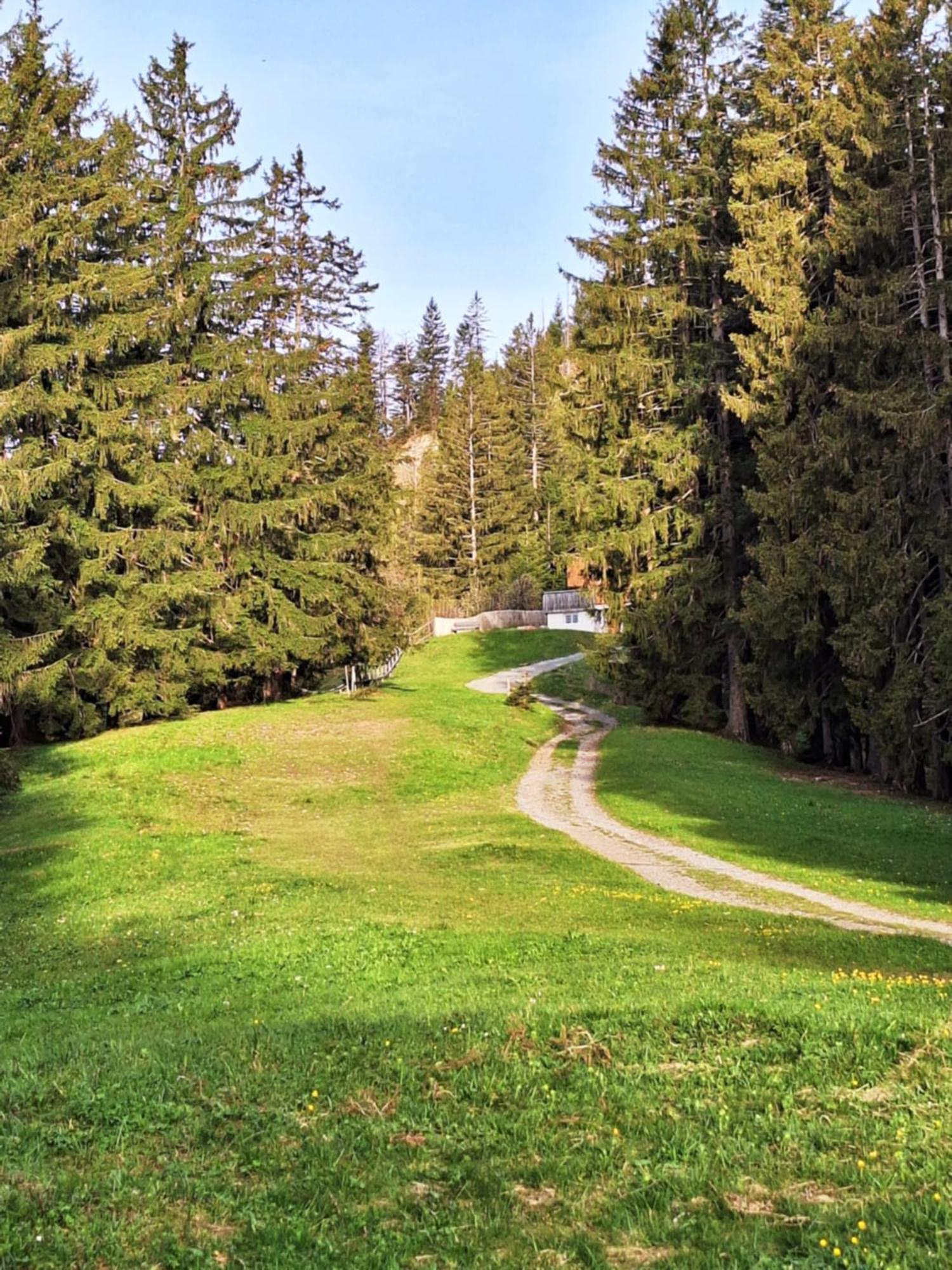 Apartment Rheintal Im Alpenvorland Batschuns 외부 사진