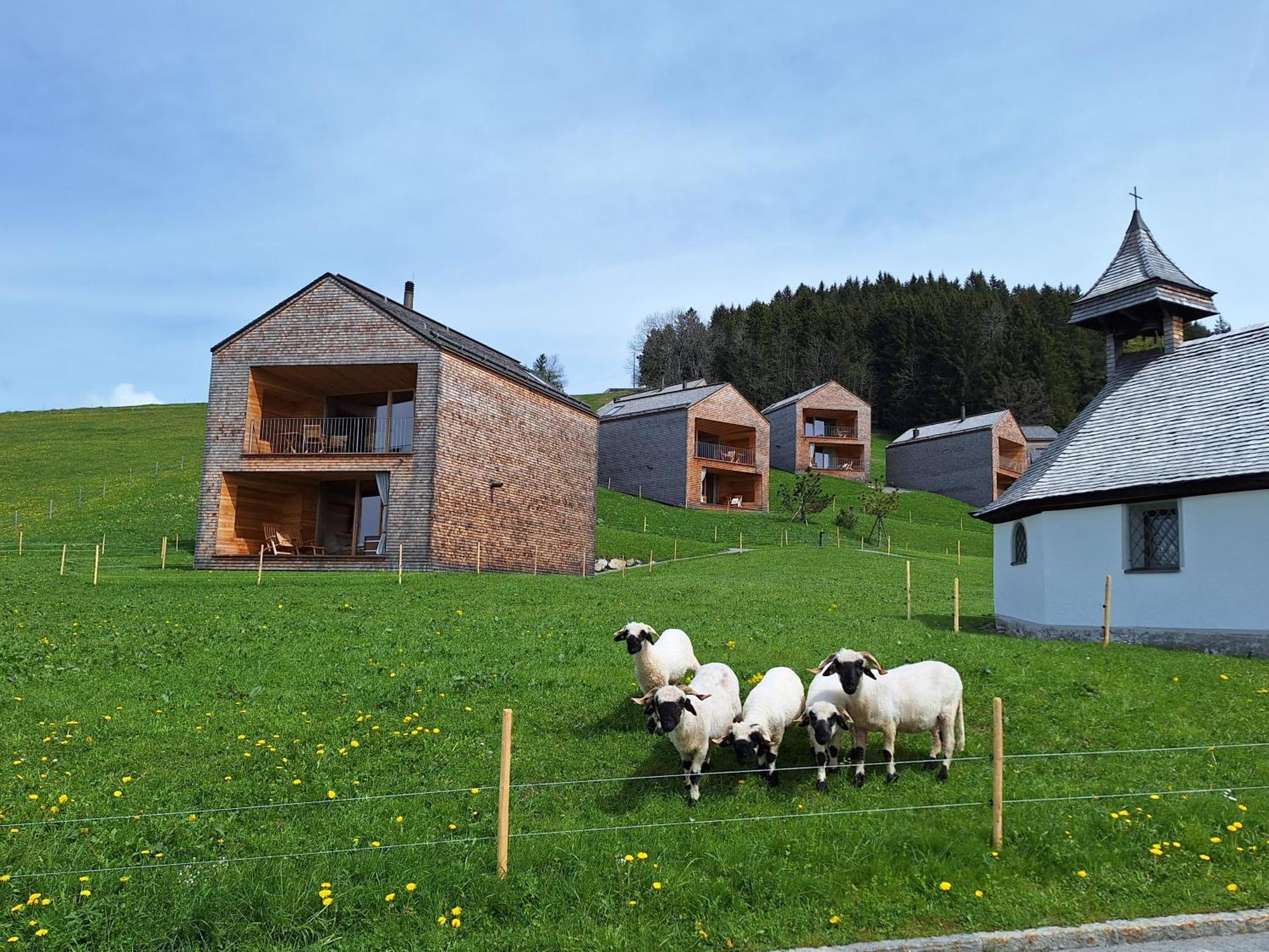 Apartment Rheintal Im Alpenvorland Batschuns 외부 사진