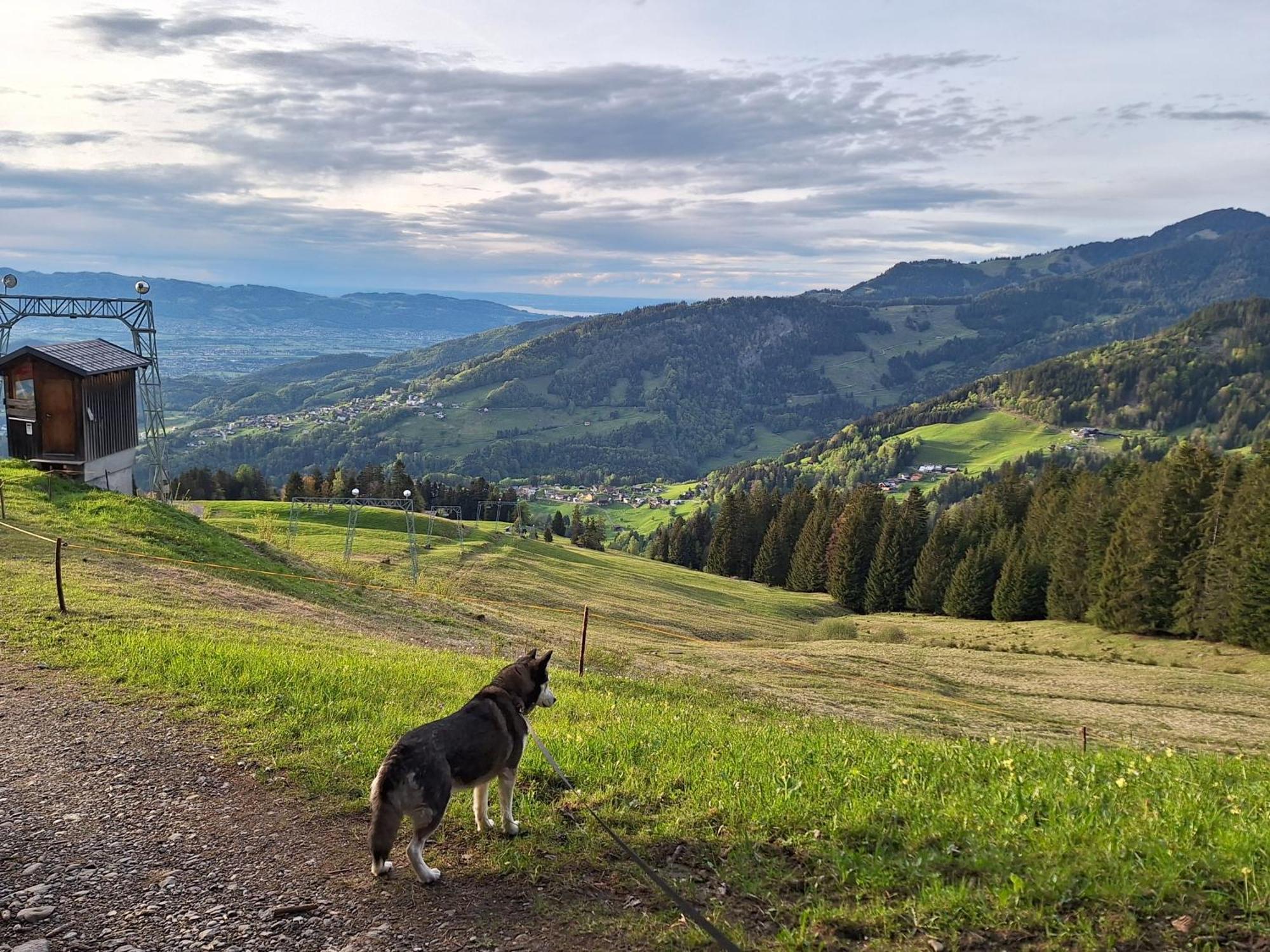 Apartment Rheintal Im Alpenvorland Batschuns 외부 사진