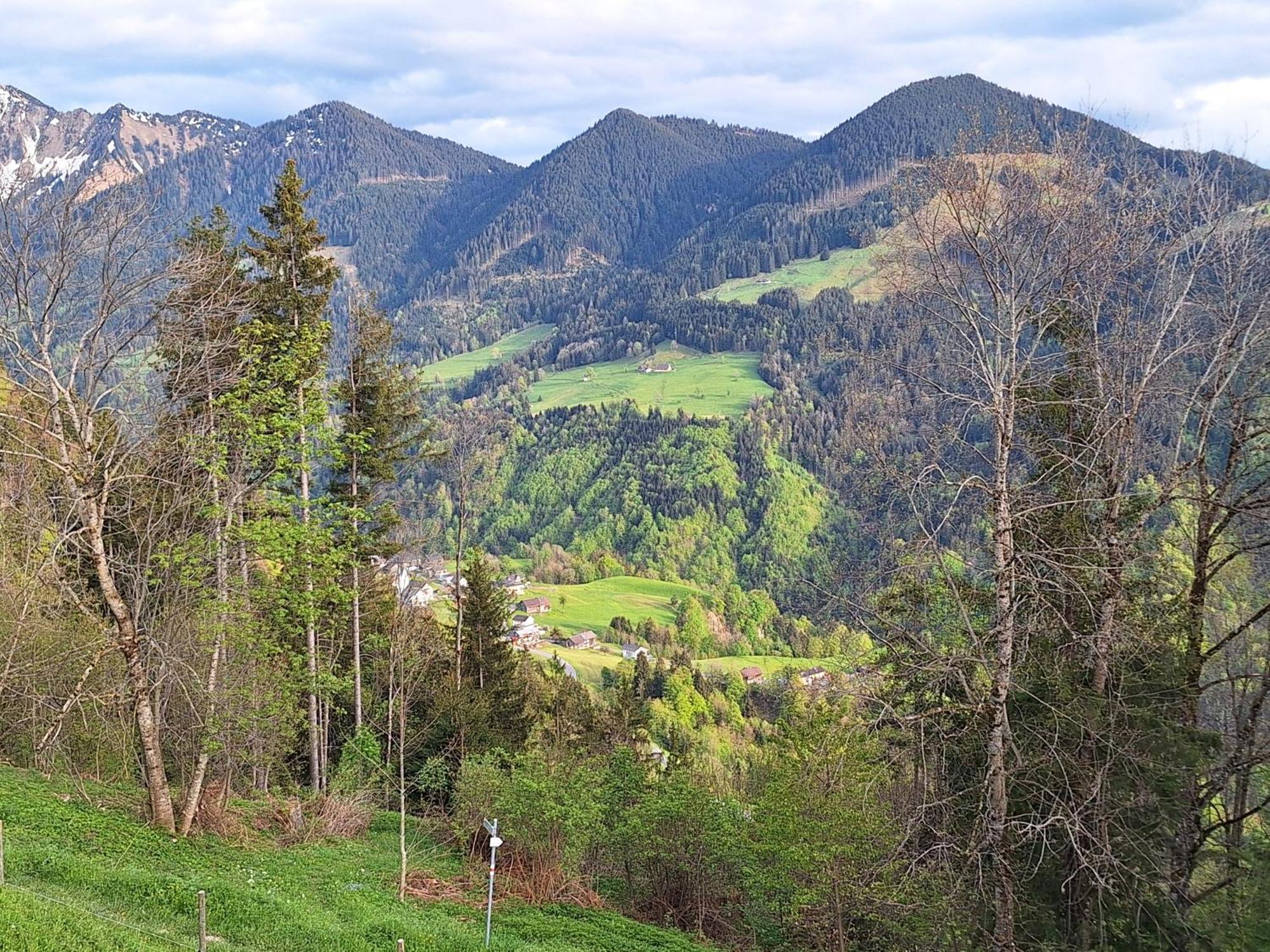 Apartment Rheintal Im Alpenvorland Batschuns 외부 사진