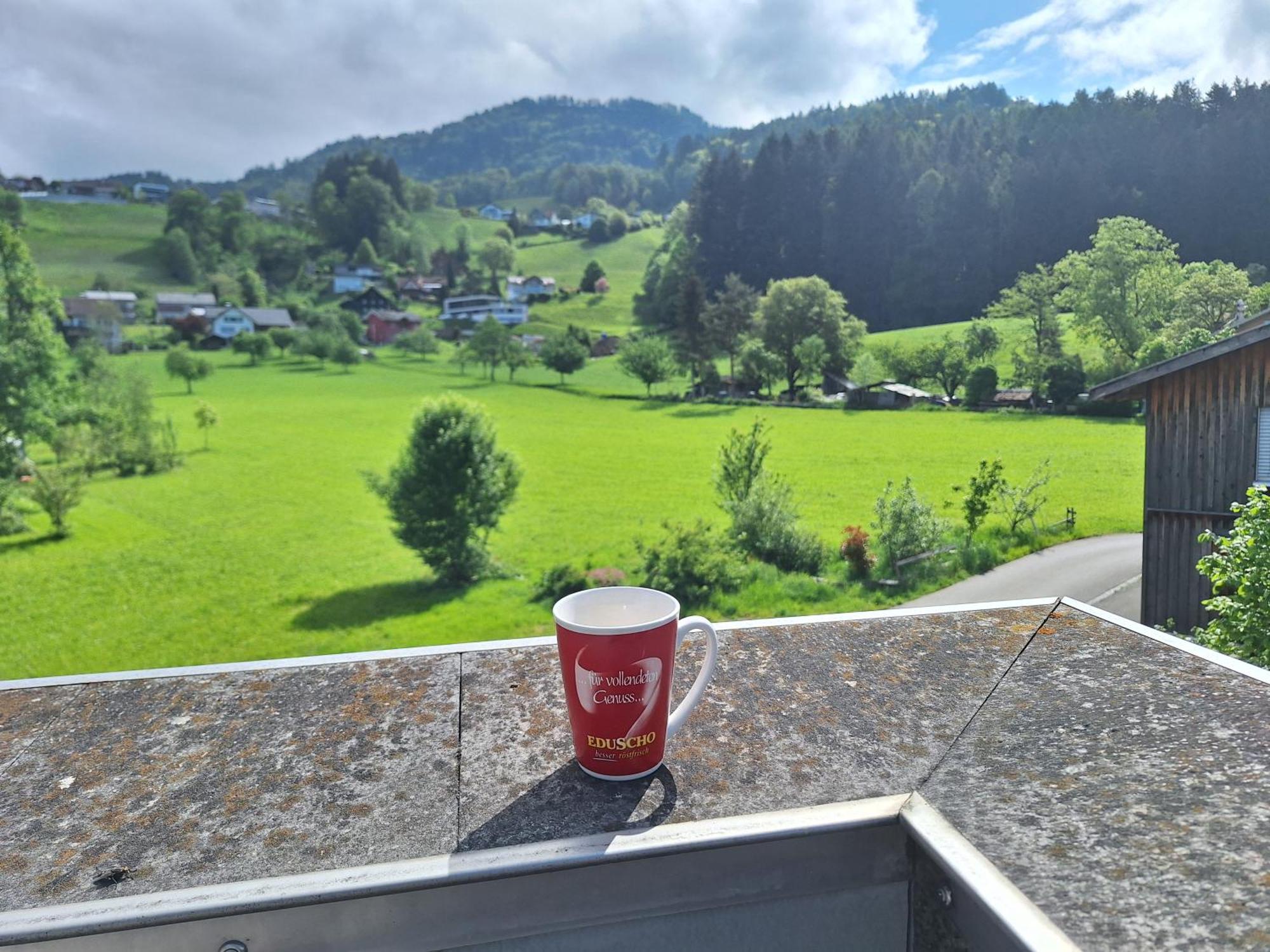 Apartment Rheintal Im Alpenvorland Batschuns 외부 사진