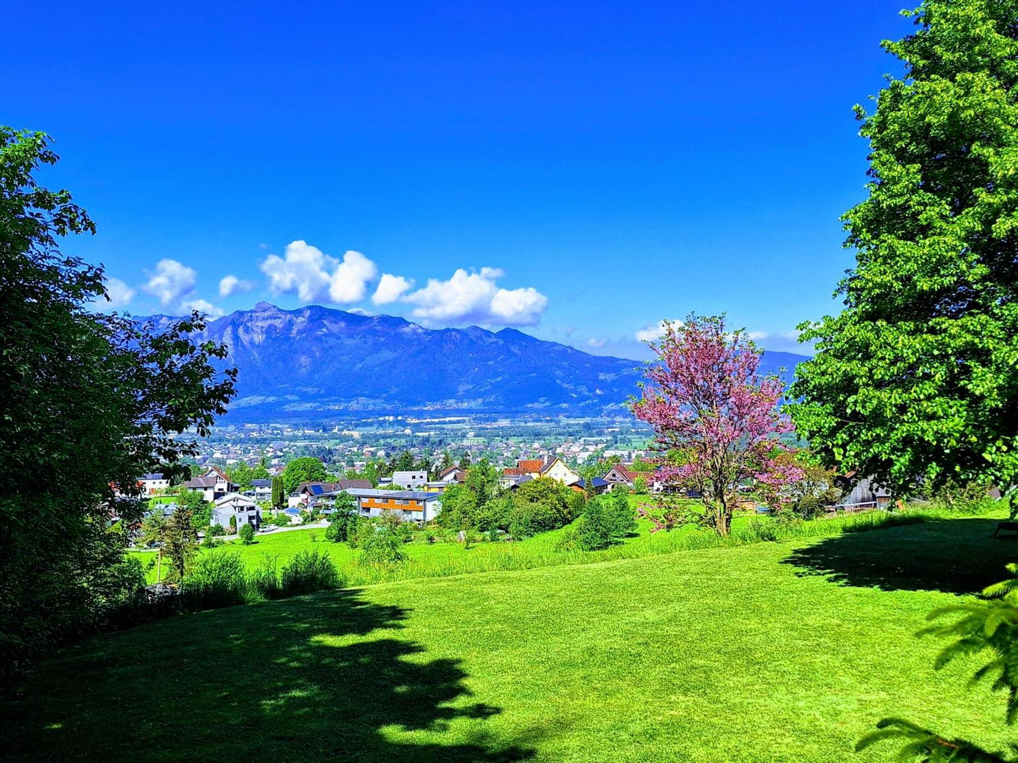 Apartment Rheintal Im Alpenvorland Batschuns 외부 사진